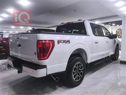 فۆرد F-150